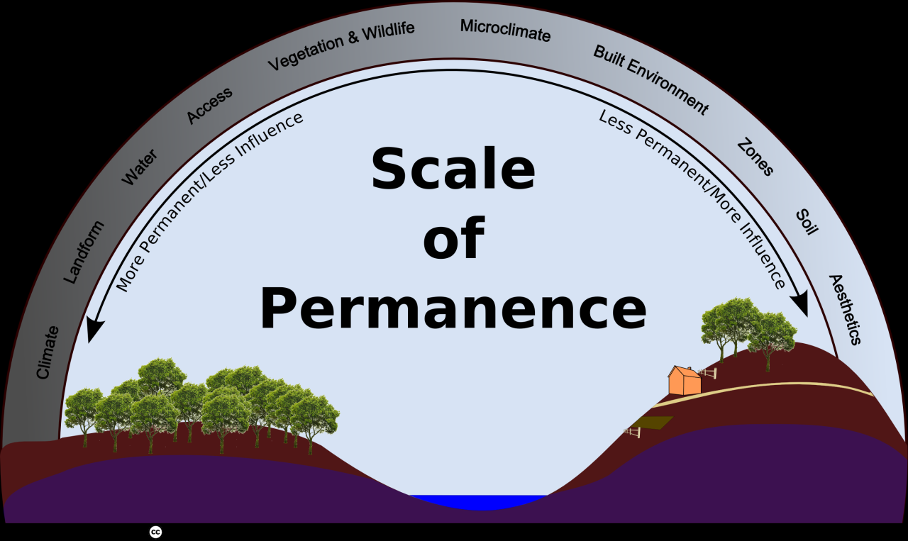 How to Scale Your Small Business Sustainably